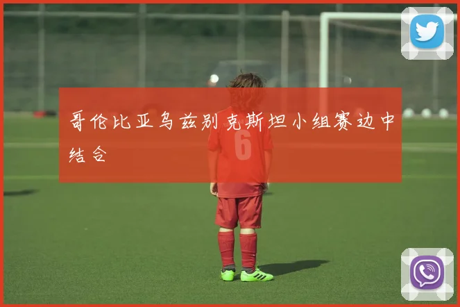 哥伦比亚乌兹别克斯坦小组赛边中结合