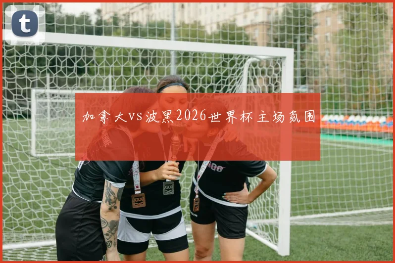 加拿大vs波黑2026世界杯主场氛围