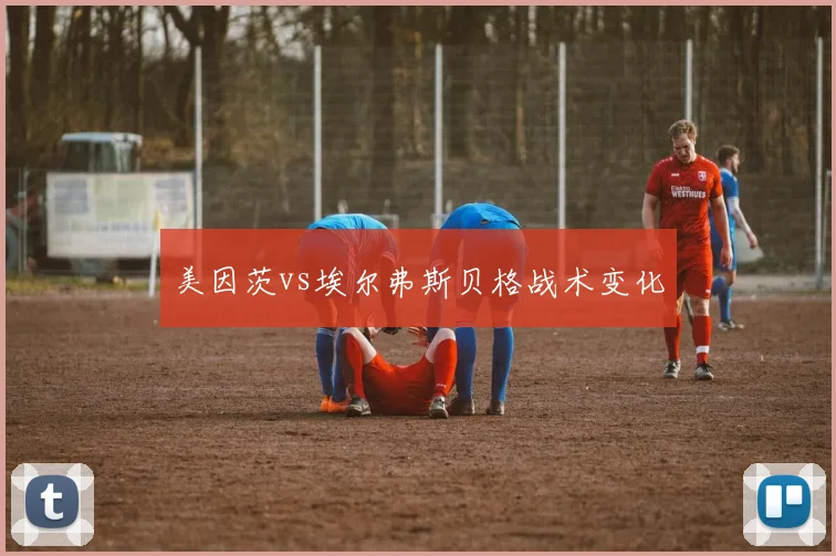 美因茨vs埃尔弗斯贝格战术变化