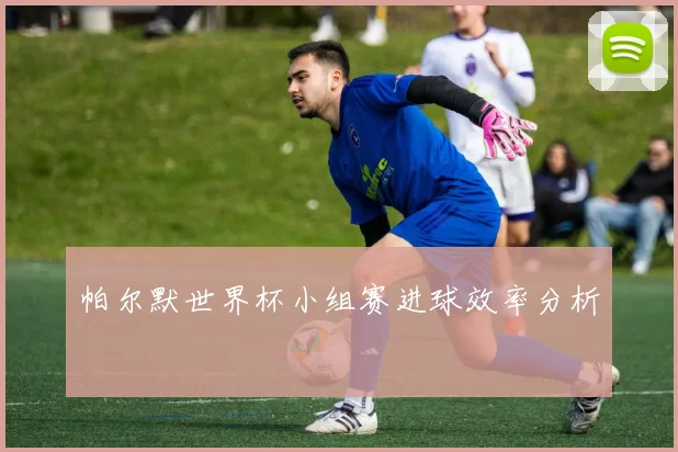 帕尔默世界杯小组赛进球效率分析