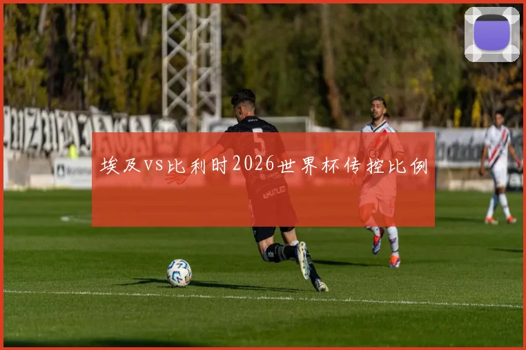埃及vs比利时2026世界杯传控比例